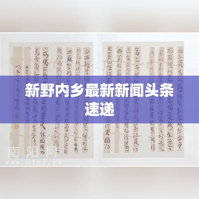 新野内乡最新新闻头条速递