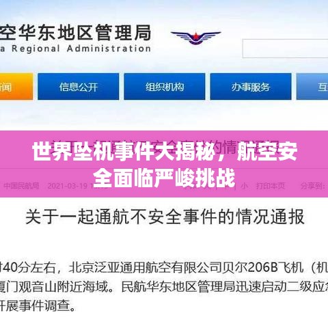 世界坠机事件大揭秘，航空安全面临严峻挑战