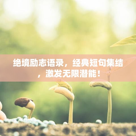 绝境励志语录，经典短句集结，激发无限潜能！