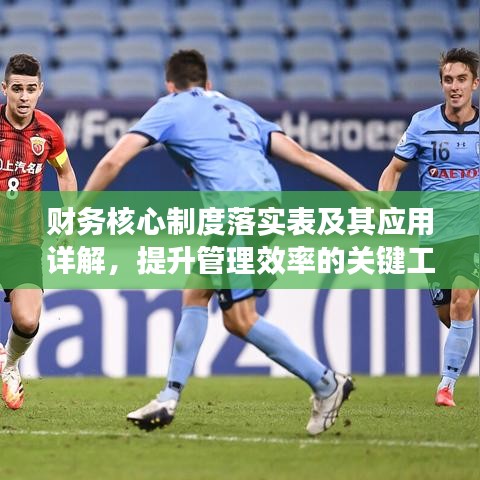 财务核心制度落实表及其应用详解，提升管理效率的关键工具！