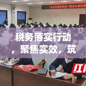 税务落实行动，聚焦实效，筑牢发展根基