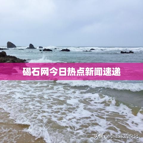 碣石网今日热点新闻速递