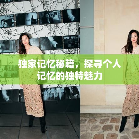 独家记忆秘籍，探寻个人记忆的独特魅力