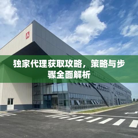 独家代理获取攻略，策略与步骤全面解析