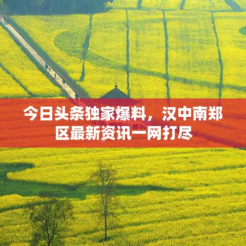 屦贱踊贵