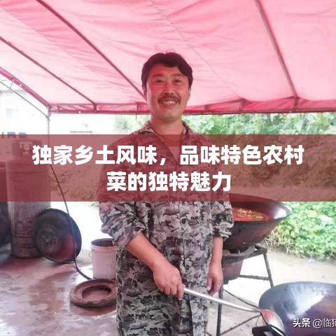 独家乡土风味，品味特色农村菜的独特魅力