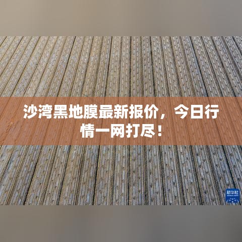 沙湾黑地膜最新报价，今日行情一网打尽！