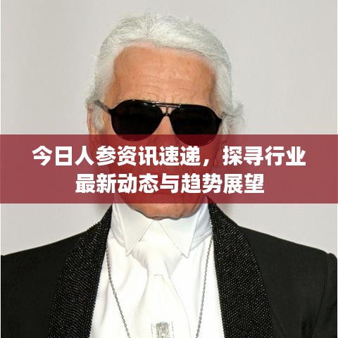 今日人参资讯速递，探寻行业最新动态与趋势展望