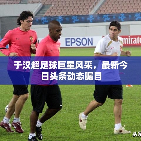 肝胆相照