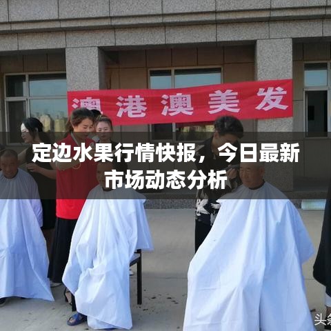 定边水果行情快报，今日最新市场动态分析