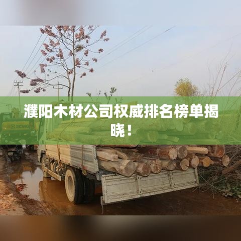 在线留言 第8页