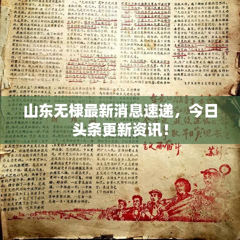 山东无棣最新消息速递，今日头条更新资讯！