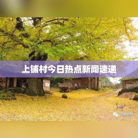 上铺村今日热点新闻速递
