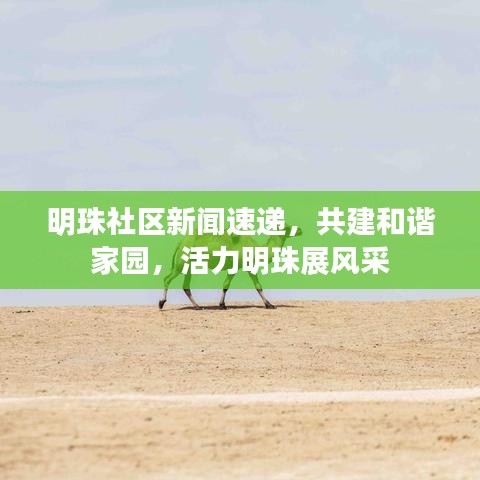 明珠社区新闻速递，共建和谐家园，活力明珠展风采