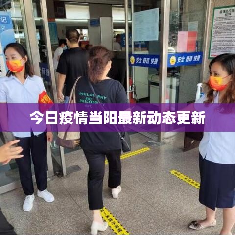 今日疫情当阳最新动态更新