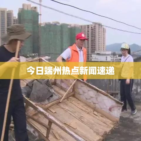 飞鸟惊蛇