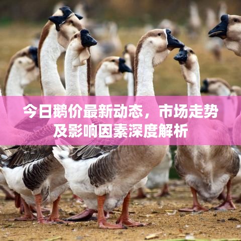 花枝招展