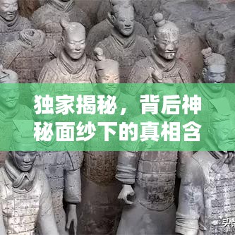 独家揭秘，背后神秘面纱下的真相含义