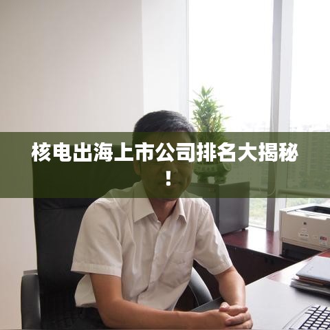核电出海上市公司排名大揭秘！