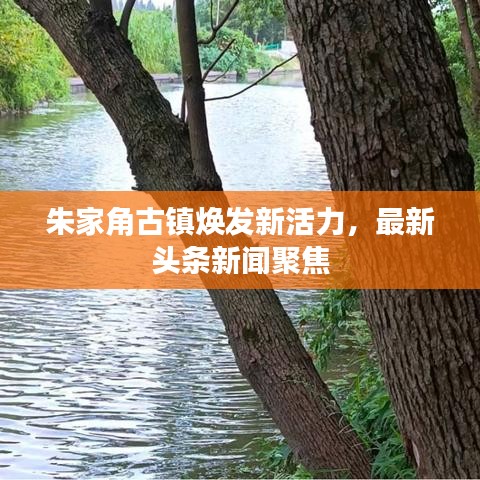 张牙舞爪