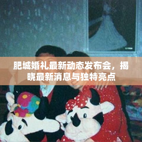 飞奇钩货