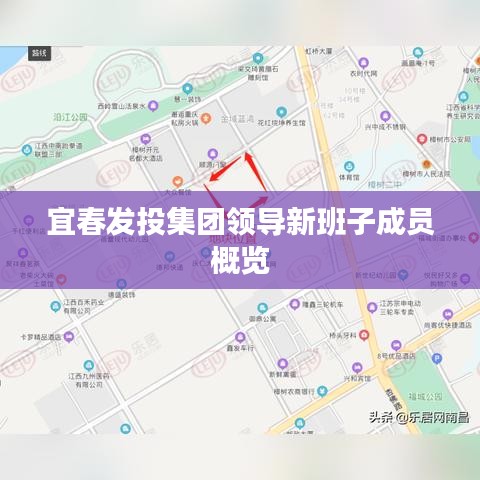 毛手毛脚