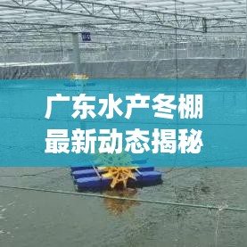 广东水产冬棚最新动态揭秘，行业新趋势视频展现