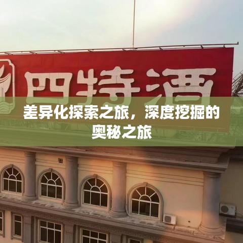 差异化探索之旅，深度挖掘的奥秘之旅