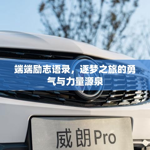 端端励志语录，逐梦之旅的勇气与力量源泉