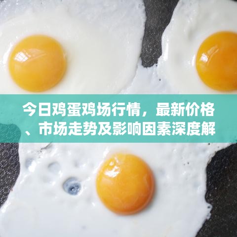 今日鸡蛋鸡场行情，最新价格、市场走势及影响因素深度解析