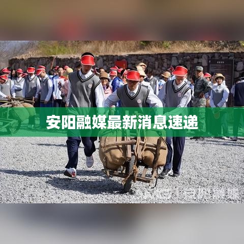 安阳融媒最新消息速递
