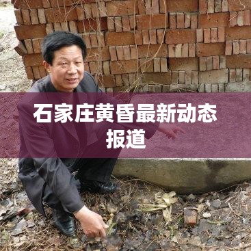 石家庄黄昏最新动态报道