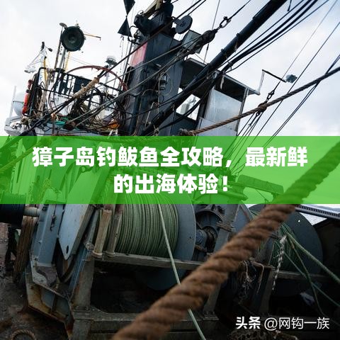 獐子岛钓鲅鱼全攻略，最新鲜的出海体验！