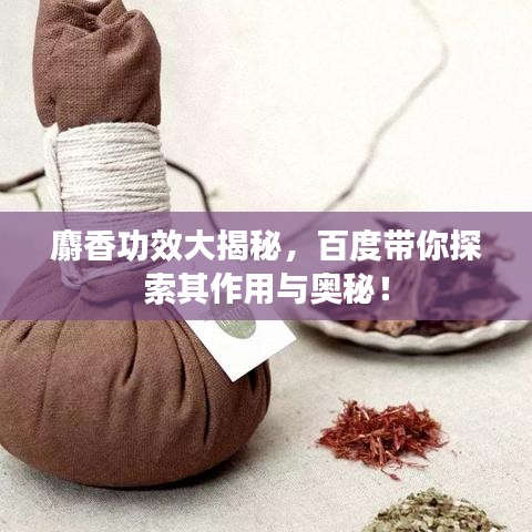 意气风发