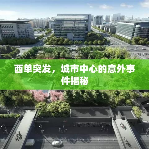 眼空四海
