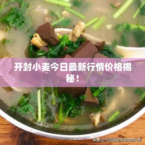 反正还淳