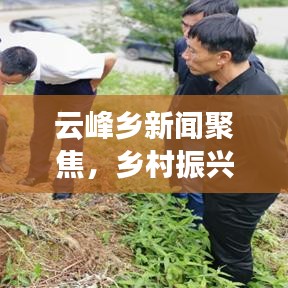 文质彬彬
