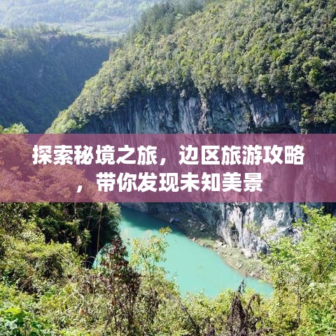 惊弓之鸟