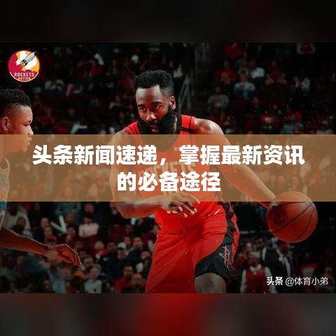 一本正经