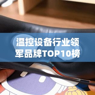 还醇返朴