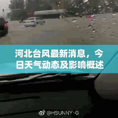 河北台风最新消息，今日天气动态及影响概述