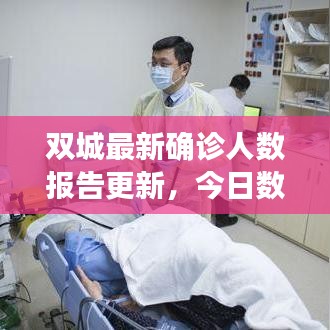 双城最新确诊人数报告更新，今日数据揭秘！