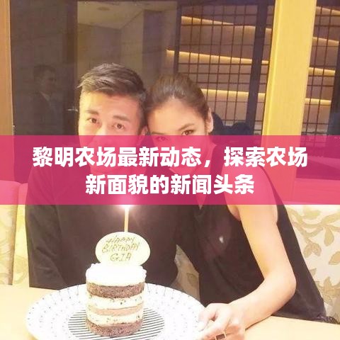 黎明农场最新动态，探索农场新面貌的新闻头条
