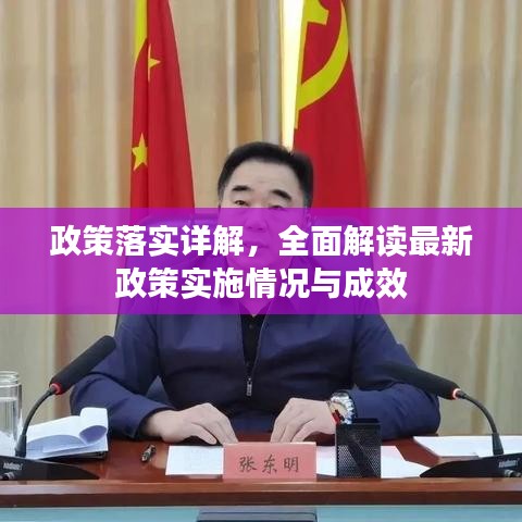 政策落实详解，全面解读最新政策实施情况与成效