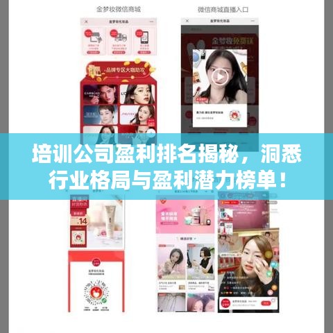 培训公司盈利排名揭秘，洞悉行业格局与盈利潜力榜单！