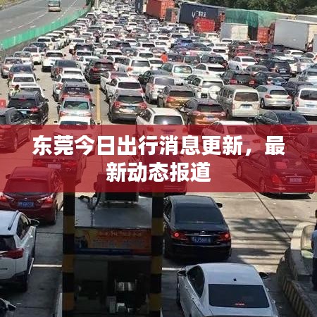 东莞今日出行消息更新，最新动态报道