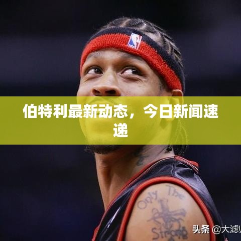 伯特利最新动态，今日新闻速递