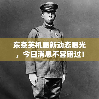 东条英机最新动态曝光，今日消息不容错过！
