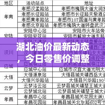 湖北油价最新动态，今日零售价调整及分析