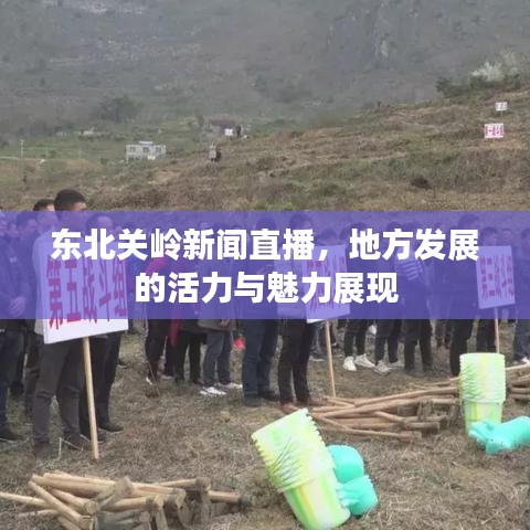 间不容发